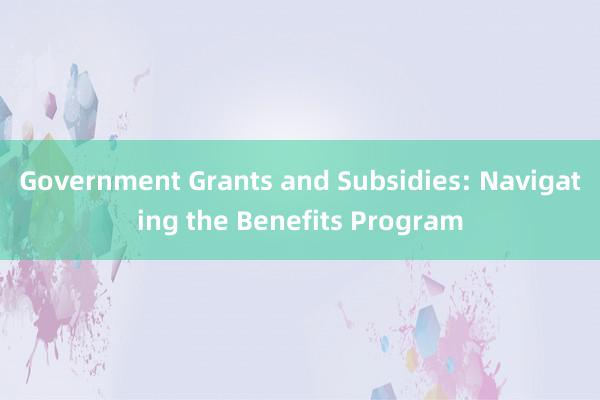 Government Grants and Subsidies: Navigating the Benefits Program